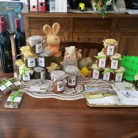 Agritur Ca' Scudiera Фермерский дом